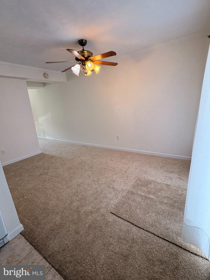 58 Louise Ct Property Photo 13