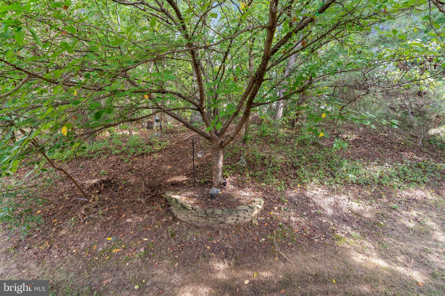 51 Guilford Ct Property Photo 29