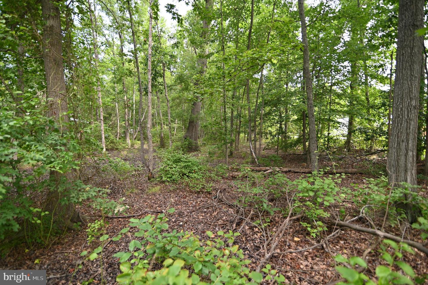 P480 Indian Head Property Photo 7