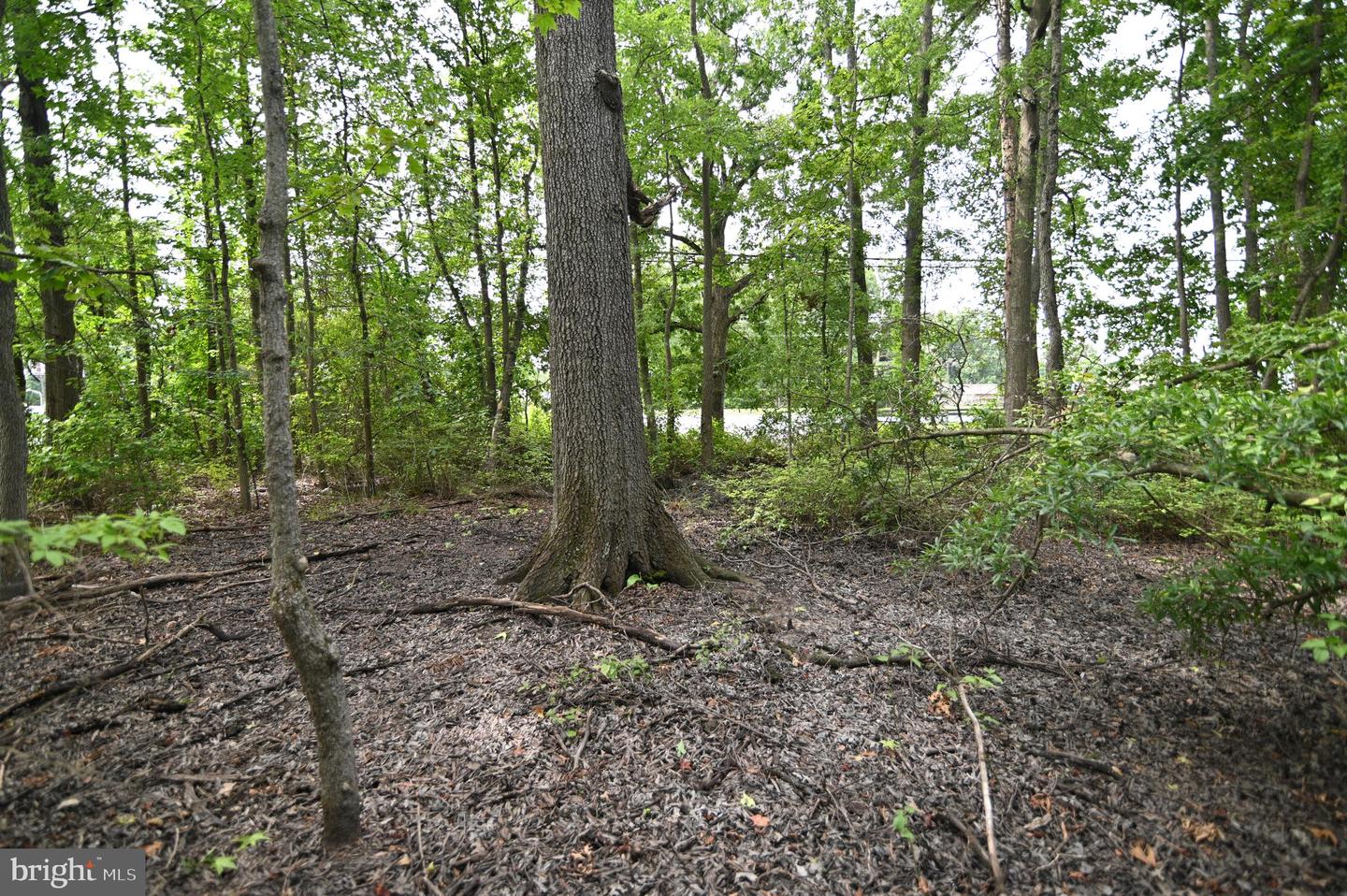 P480 Indian Head Property Photo 8