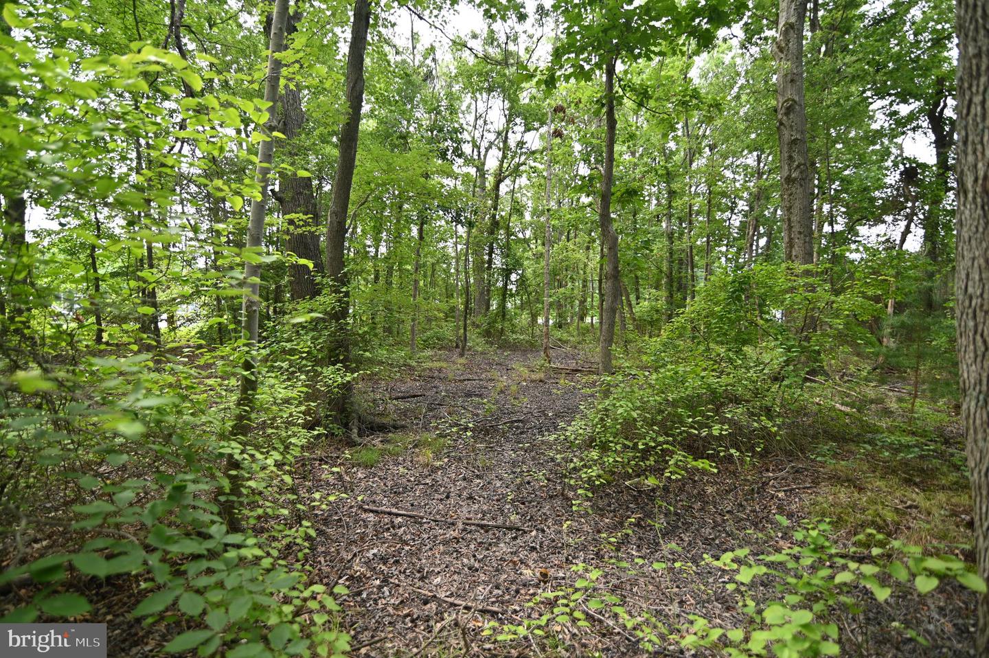 P480 Indian Head Property Photo 10