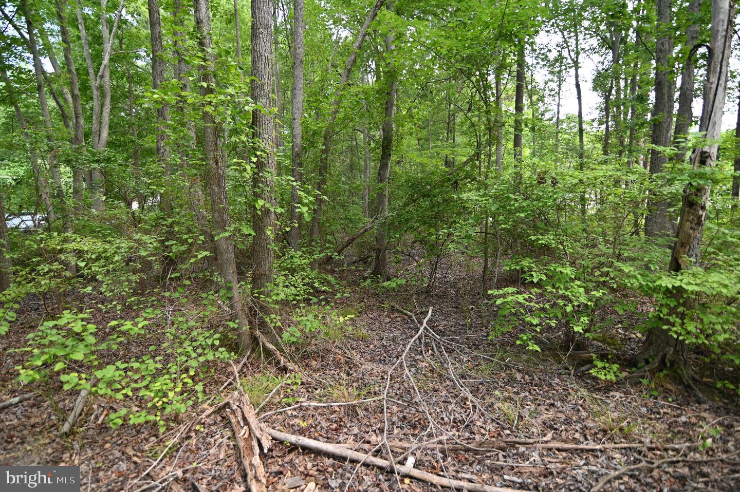 P480 Indian Head Property Photo 11