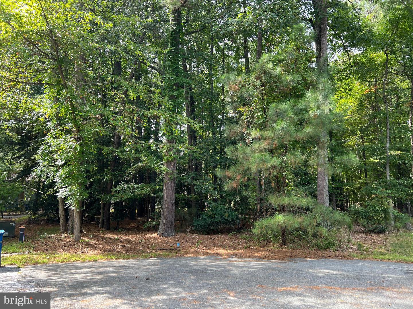 14710 Jennifer Ct Property Photo