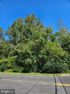 520 Cedar Ln Property Photo 5