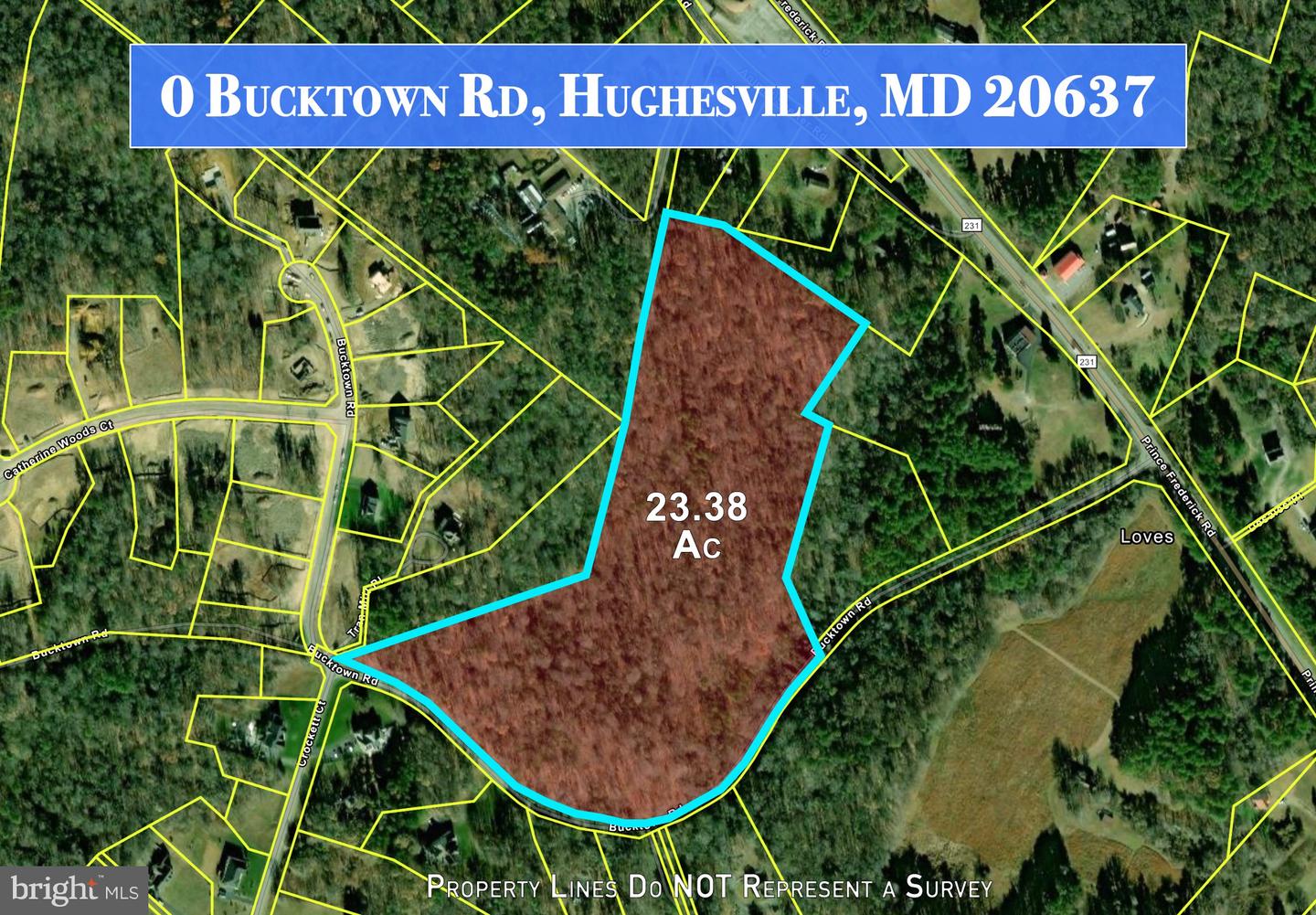 Bucktown Rd Property Photo 10