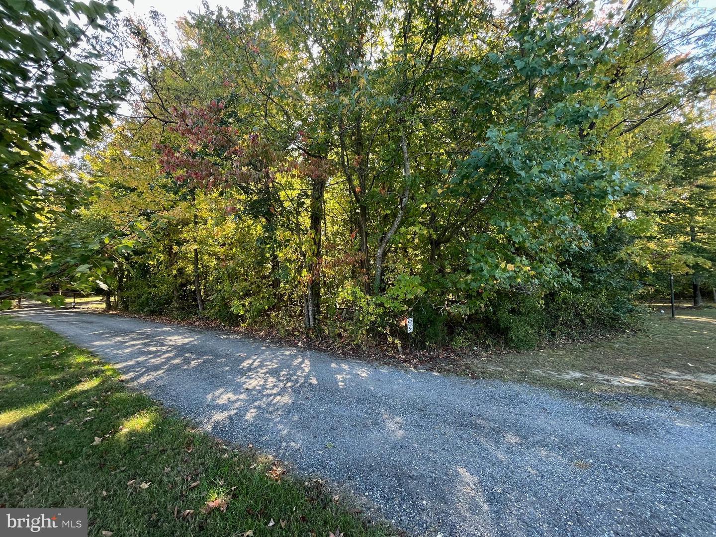 7015 Lils Pl Property Photo 1