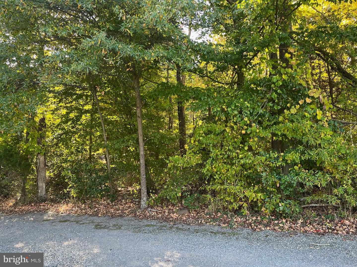 7015 Lils Pl Property Photo 3