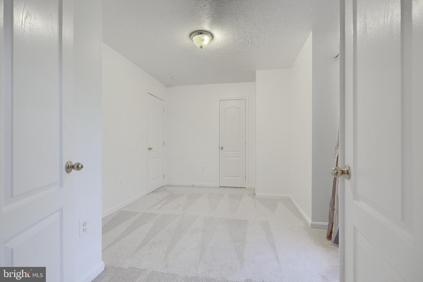 10017 Wamsley Ct Property Photo 38