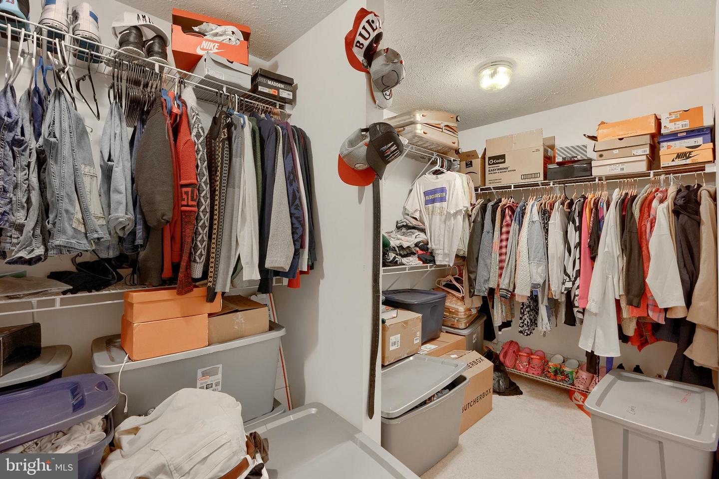 10017 Wamsley Ct Property Photo 51
