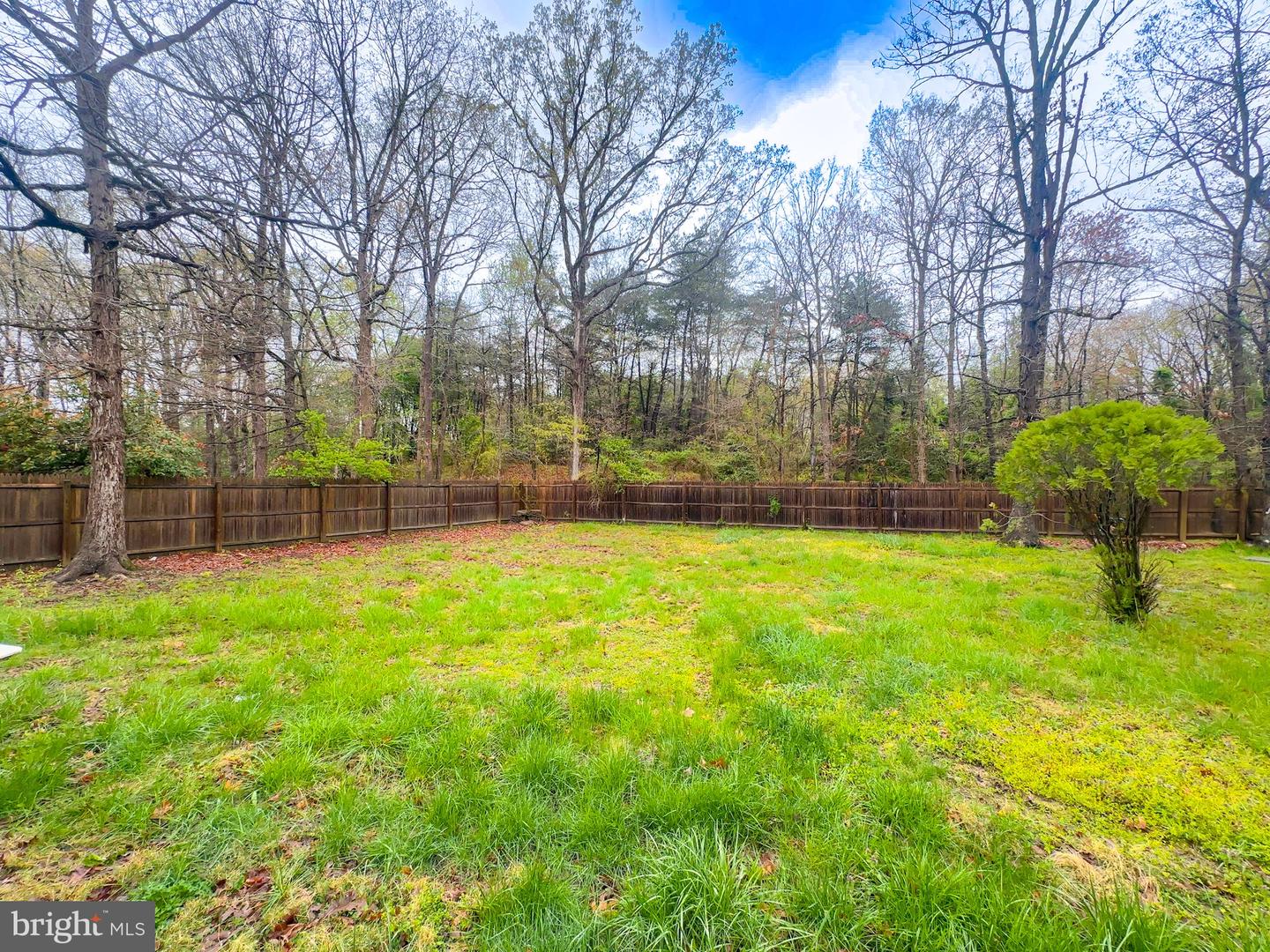 2204 Holly Oak Ct Property Photo 16