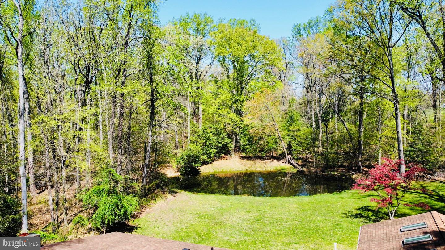 9880 Beech Ln Property Photo 16