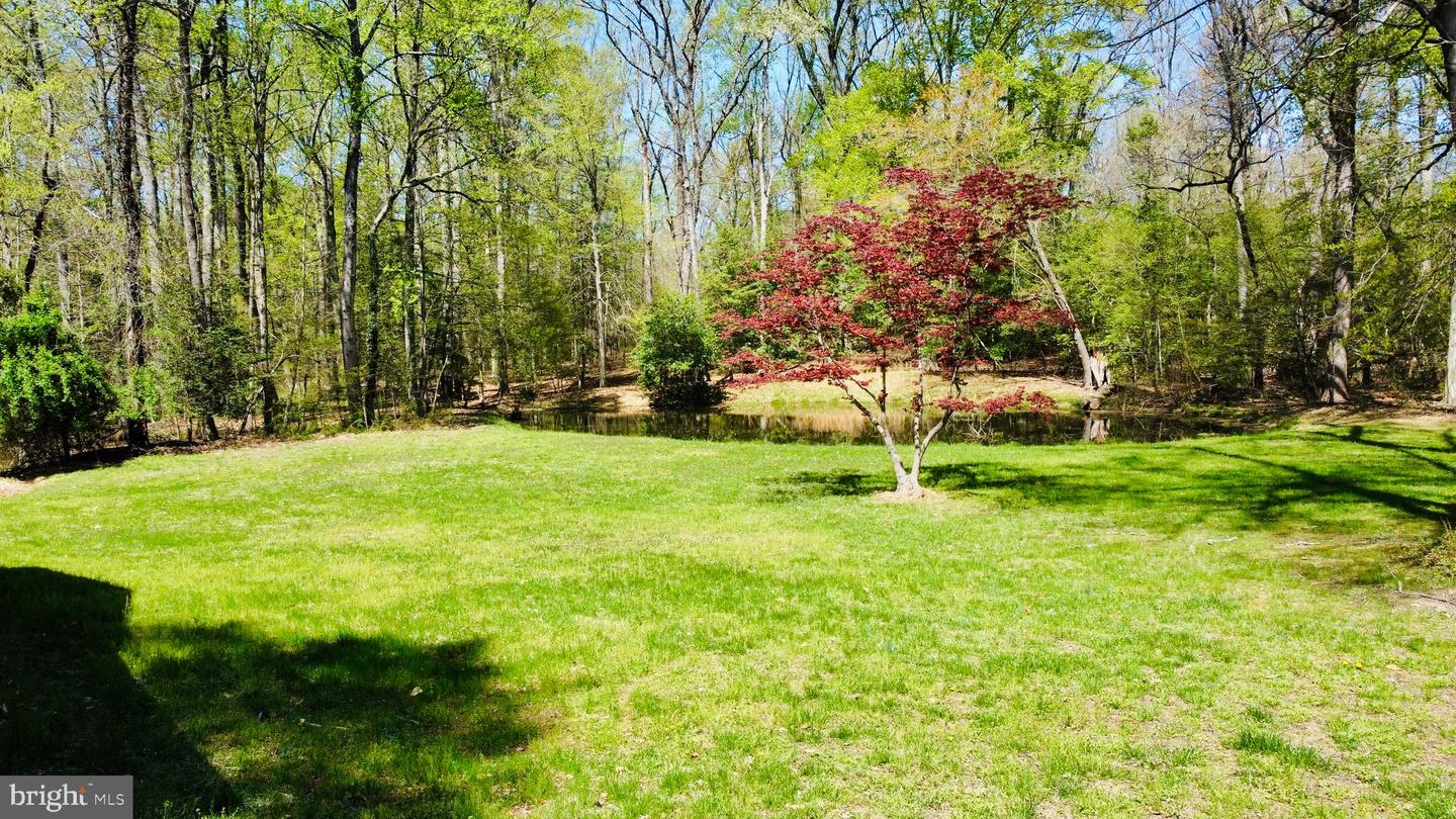 9880 Beech Ln Property Photo 19