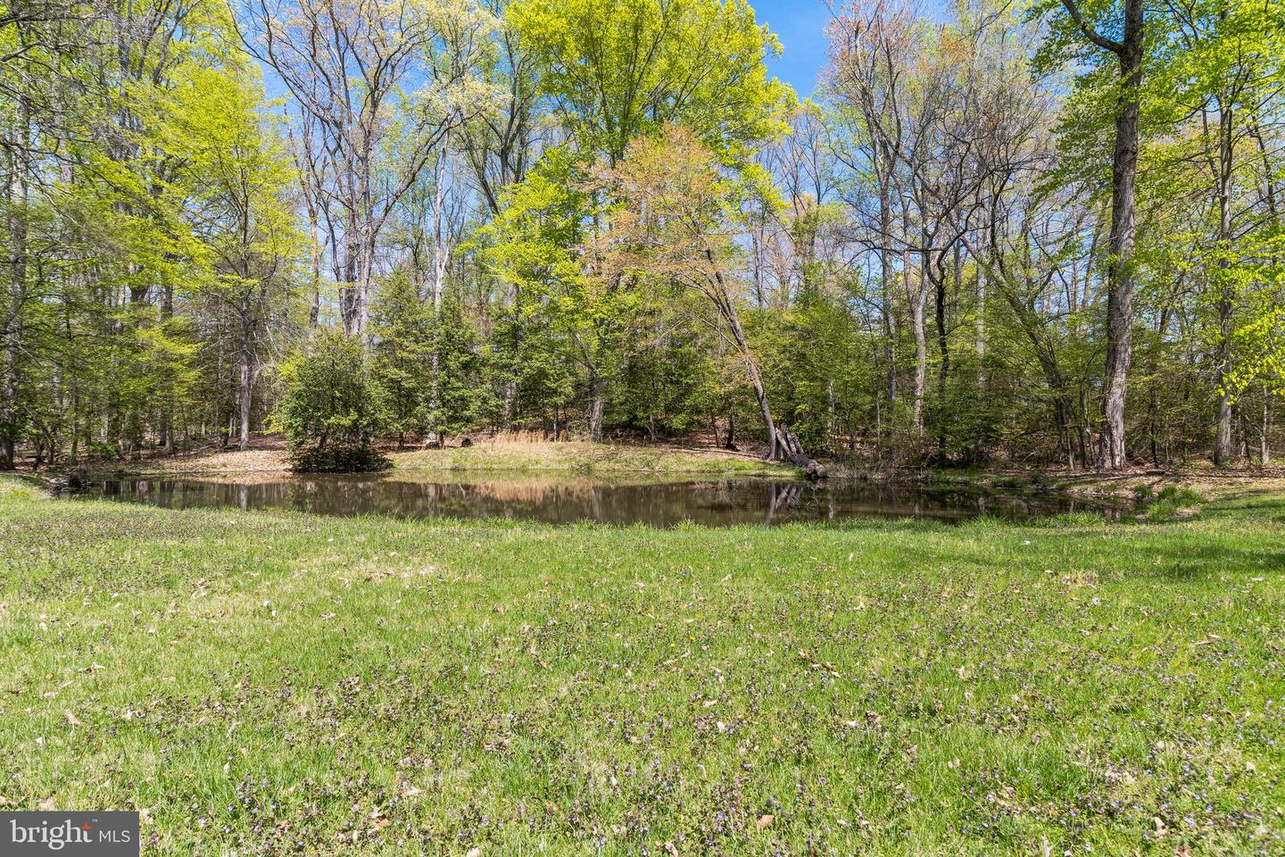 9880 Beech Ln Property Photo 60