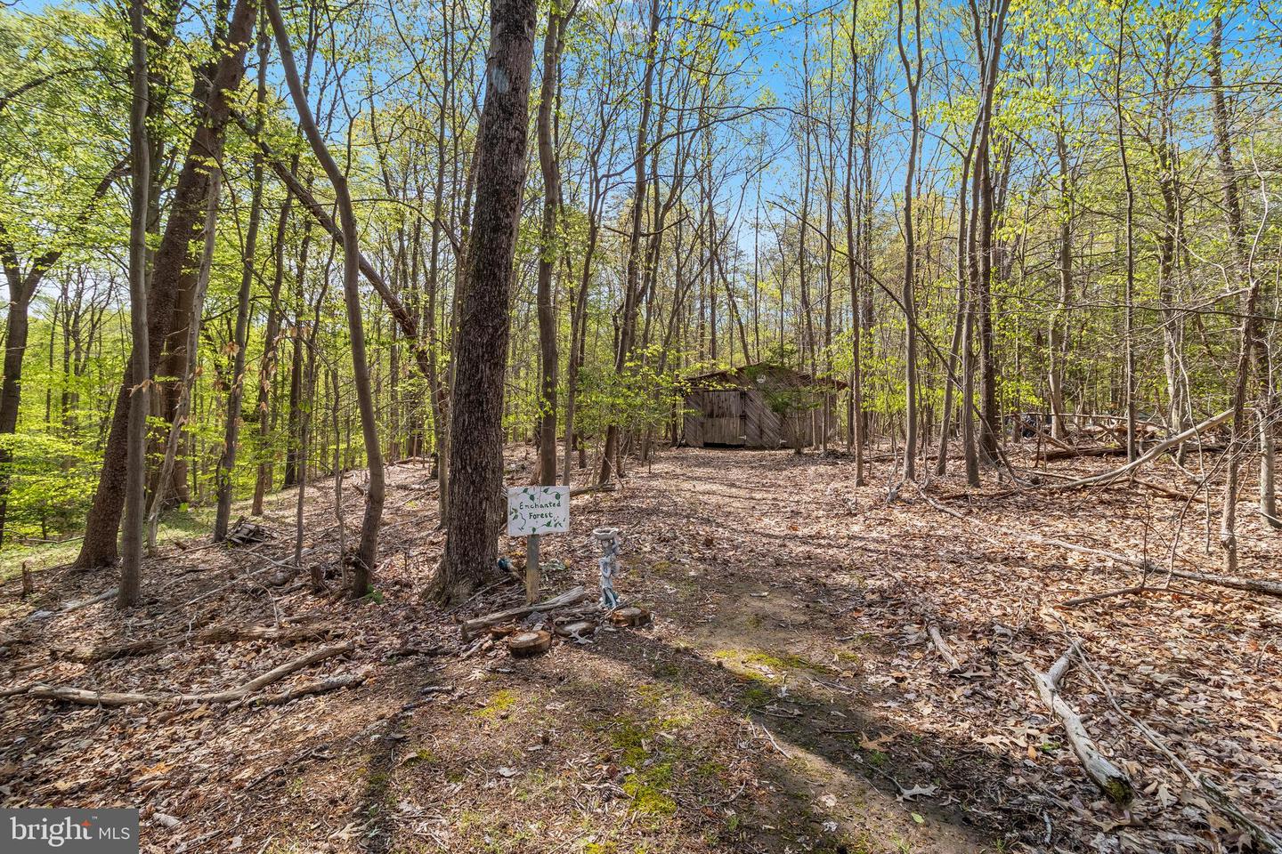 7773-a Ann Harbor Dr Property Photo 68