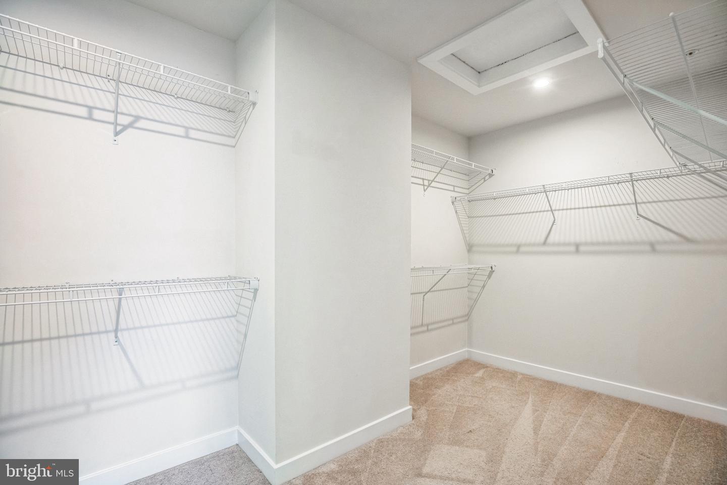 8753 Whittington St Property Photo 11