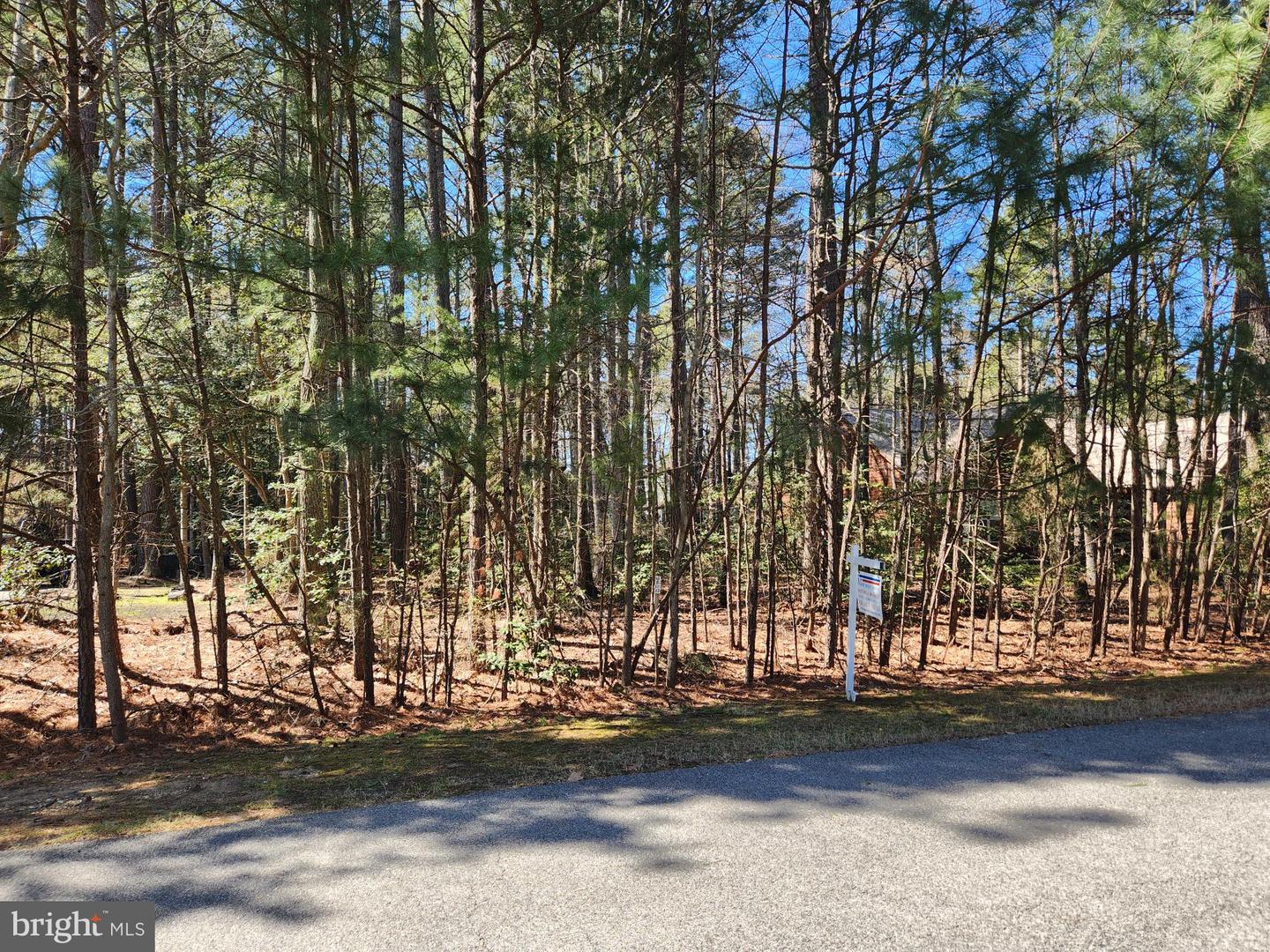 14875 Buckingham Ct Property Photo 1