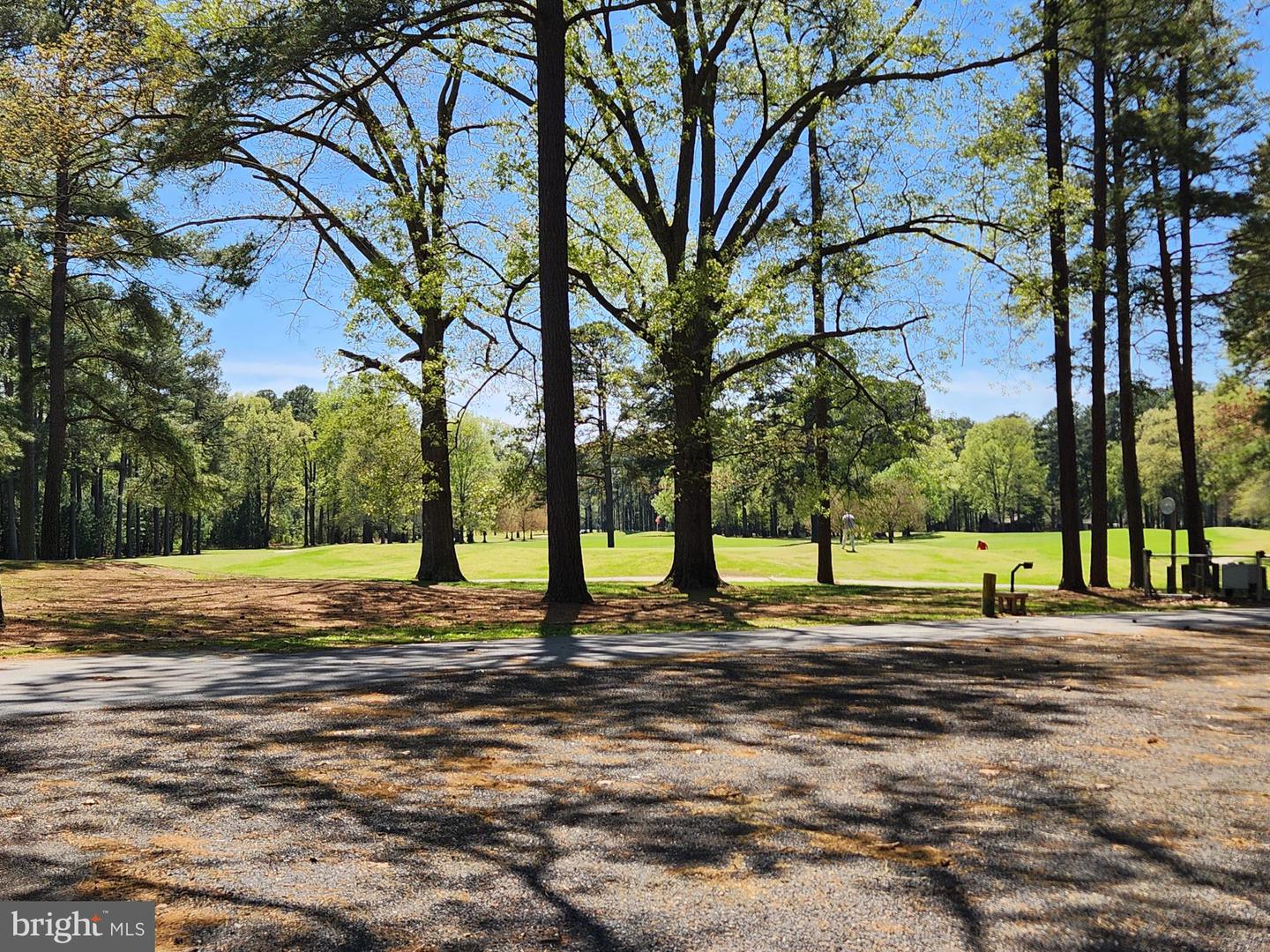 14875 Buckingham Ct Property Photo 16