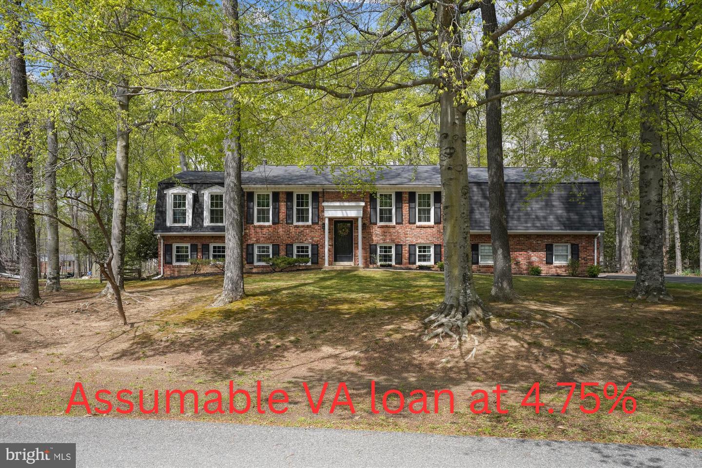 9258 Mimosa Dr Property Photo 1