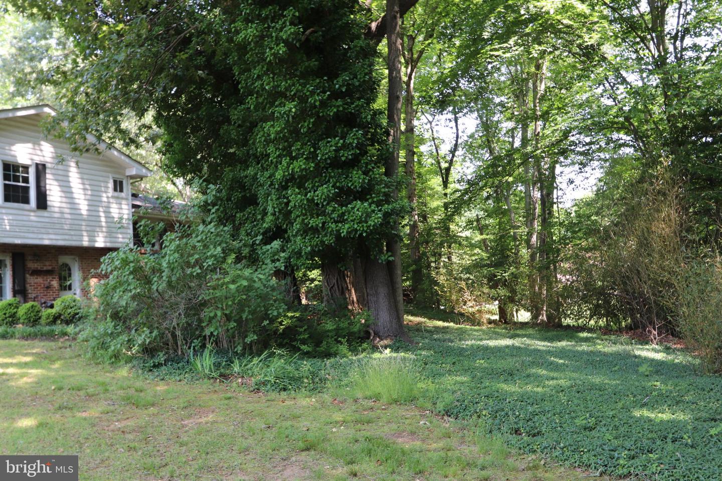 7737 Ann Harbor Dr Property Photo 50