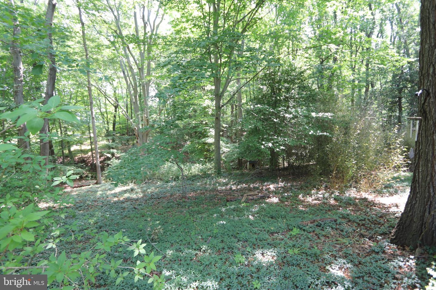7737 Ann Harbor Dr Property Photo 51