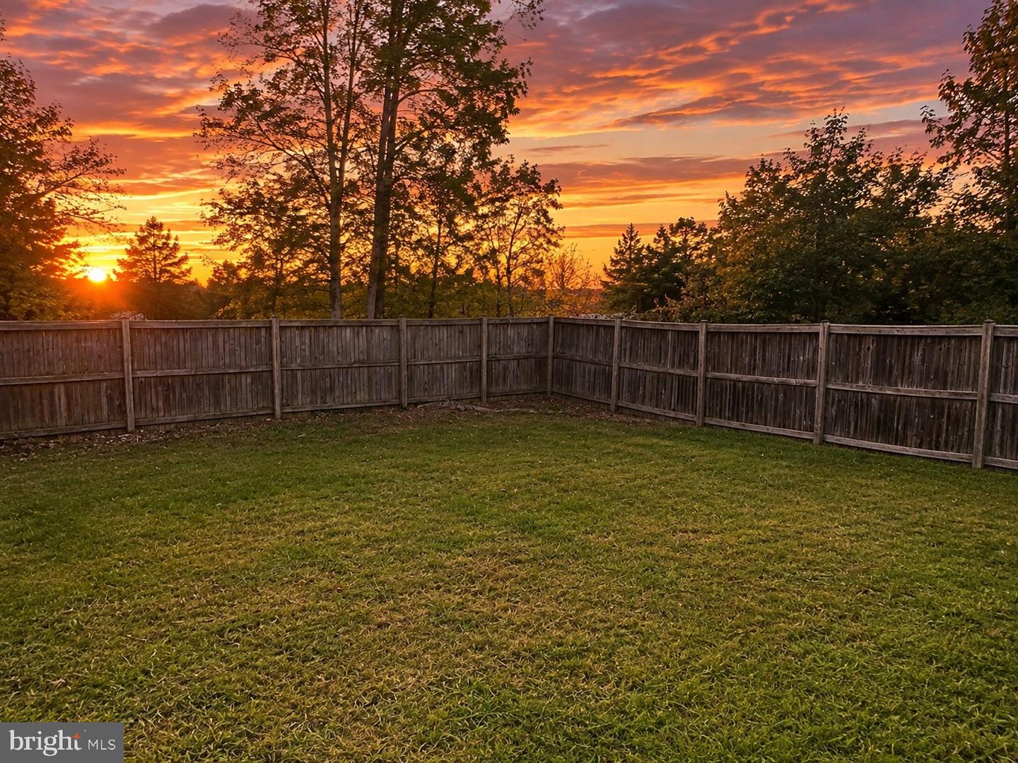 10750 Sourwood Ave Property Photo 4