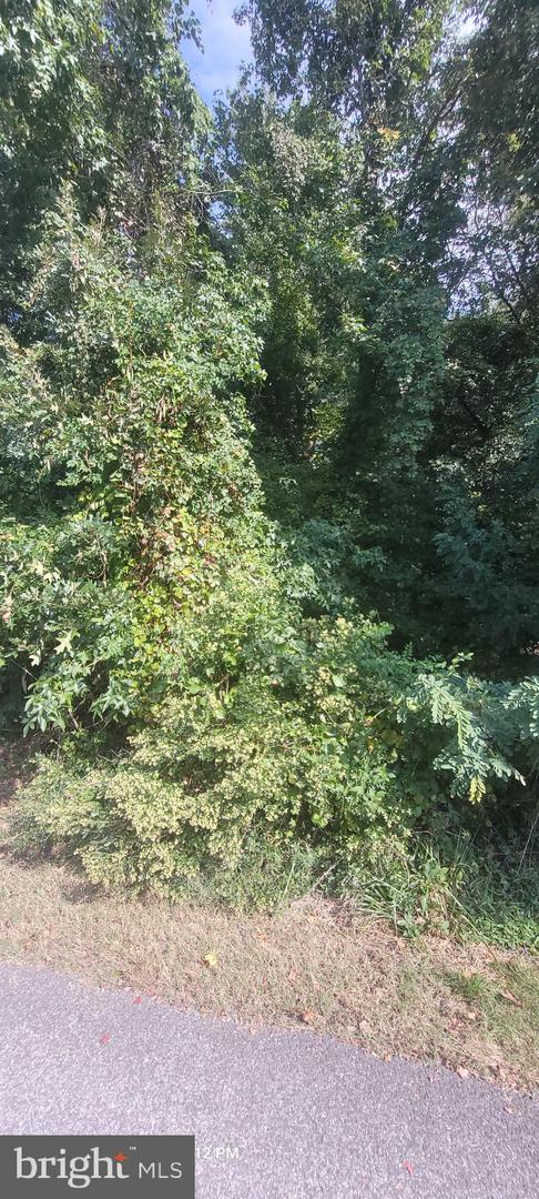 11265 Keokee Ct Property Photo 9