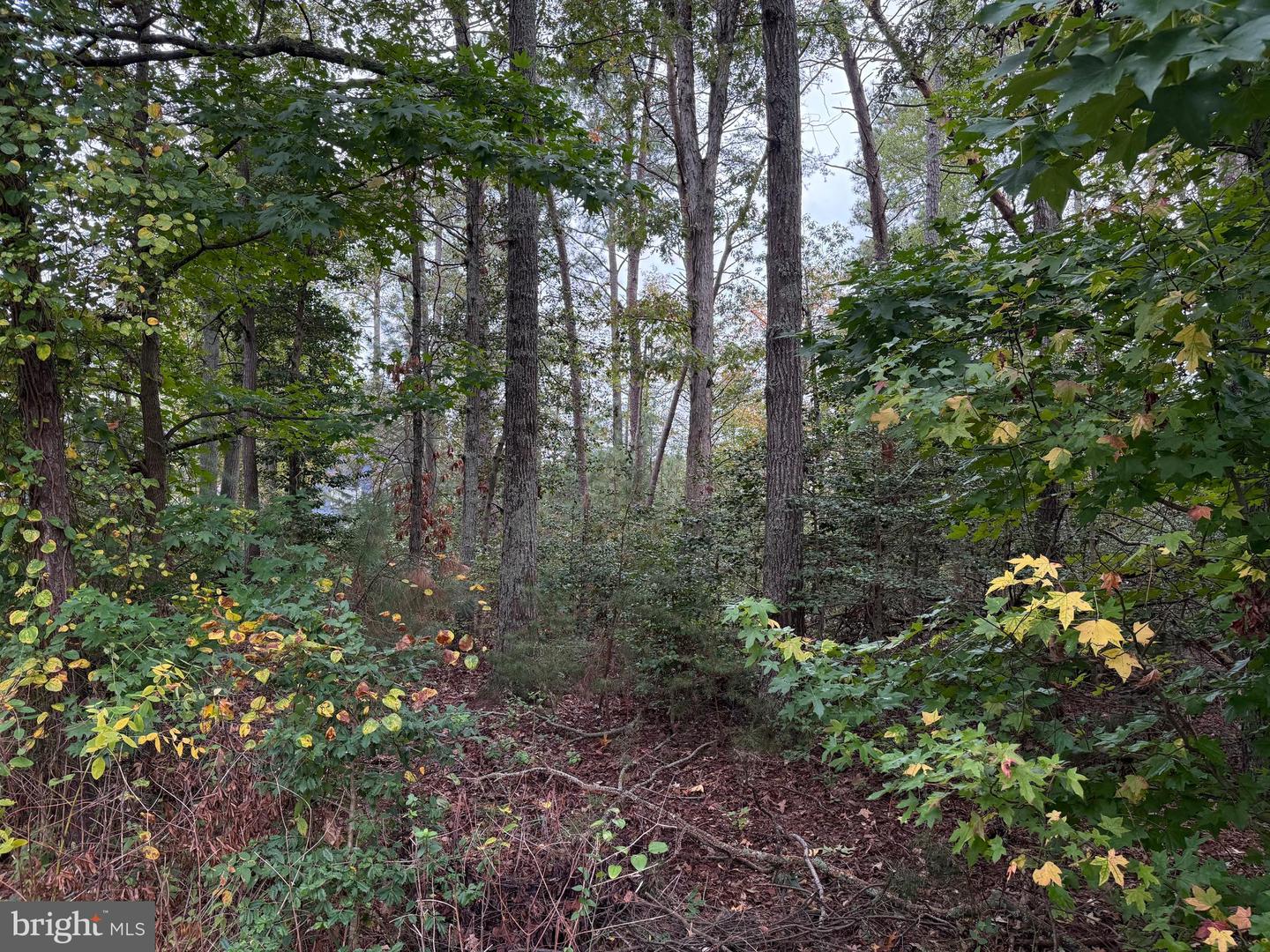 11240 Lord Baltimore Dr Property Photo 3