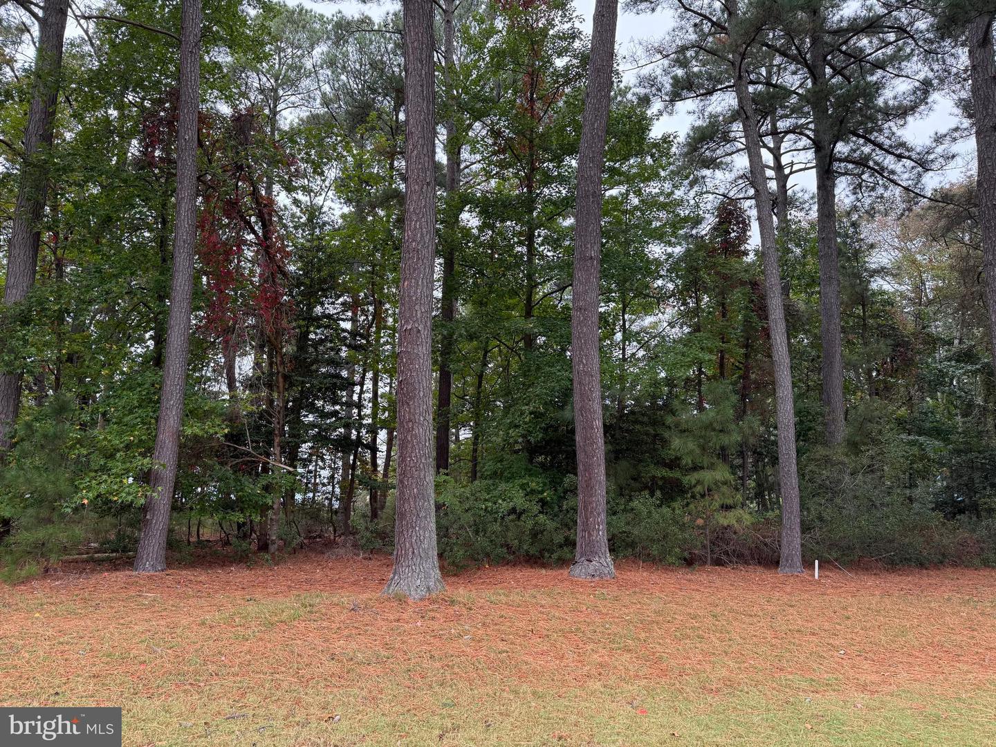 14975 Persimmon Ct Property Photo 2