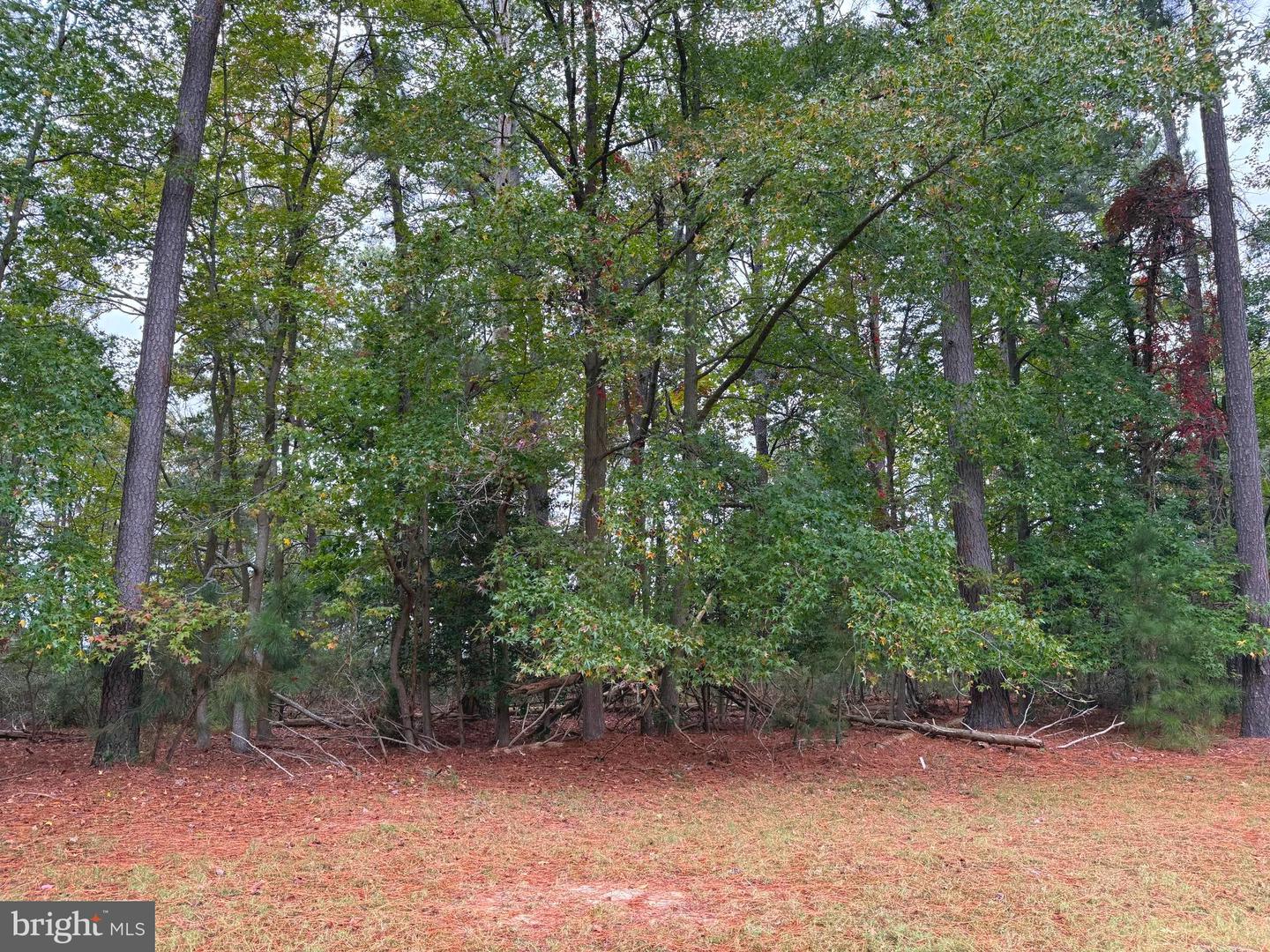 14975 Persimmon Ct Property Photo 5