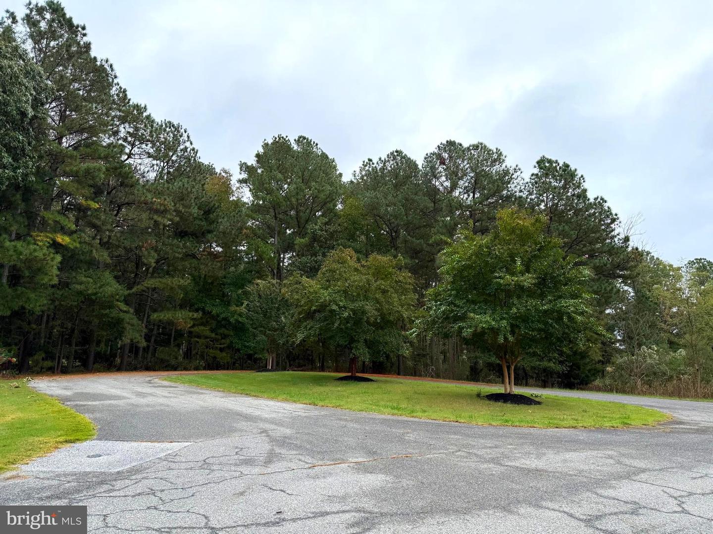 14975 Persimmon Ct Property Photo 6
