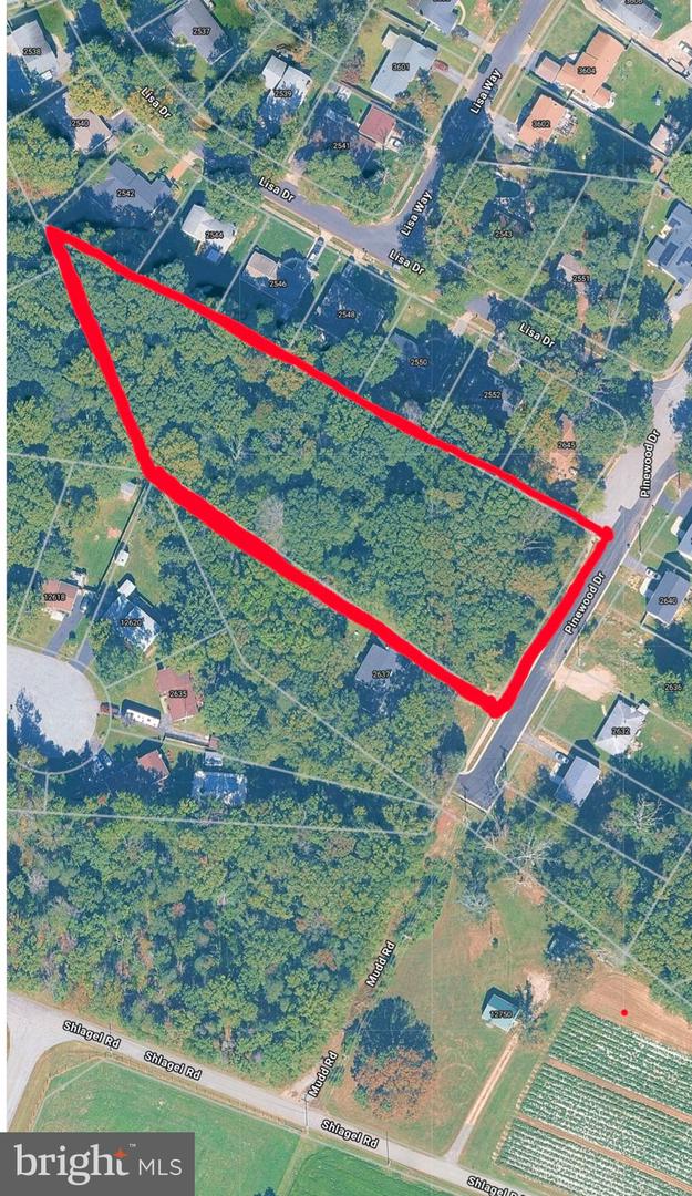 Pinewood Dr Property Photo 3