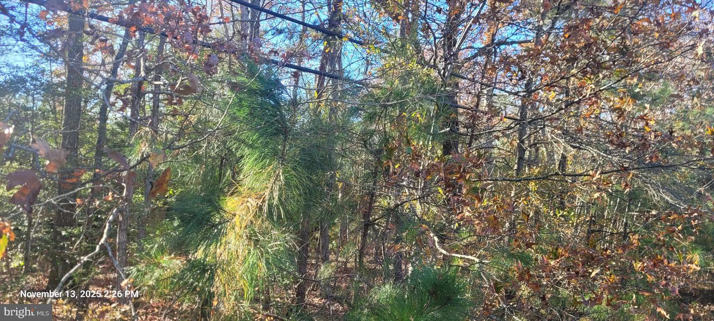 Rock Point Property Photo 1