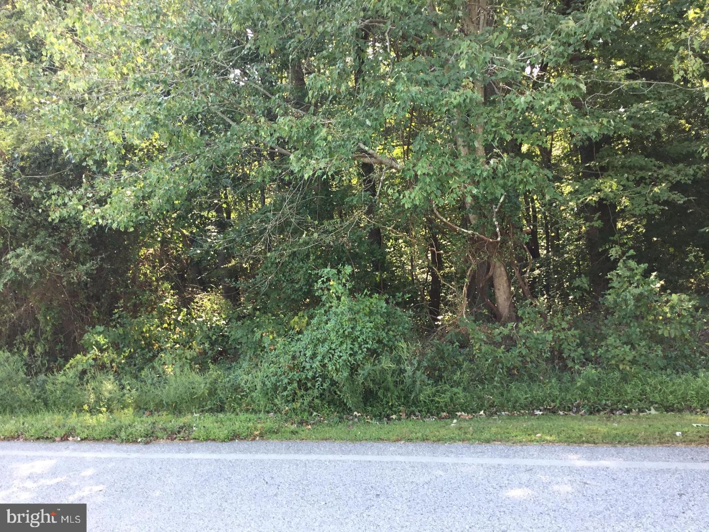 0 Hawkins Gate Rd Property Photo 1