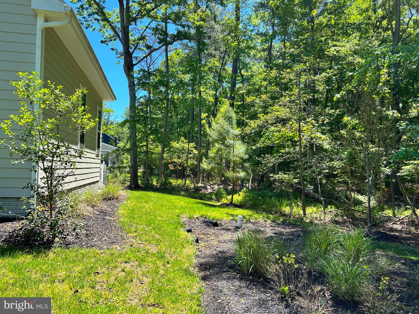 11521 Beacon Hill Ct Property Photo 8