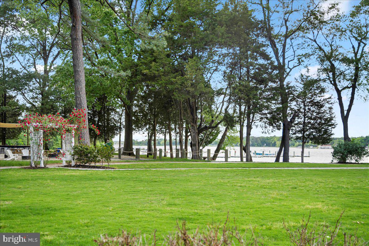 11521 Beacon Hill Ct Property Photo 65