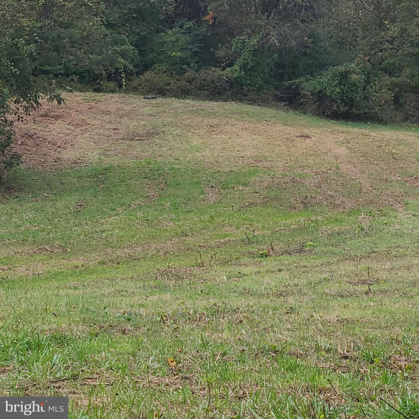 Shiloh Church Rd Property Photo 1