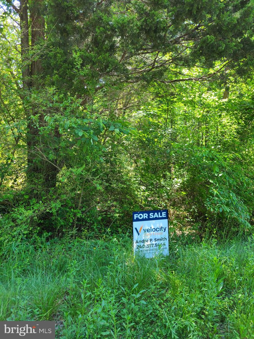 12735 SHILOH CHURCH RD Property Photo 1