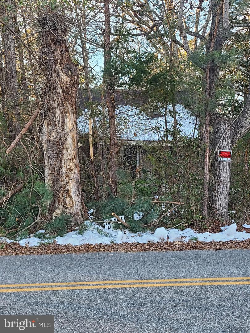 12765 Shiloh Church Rd Property Photo 1