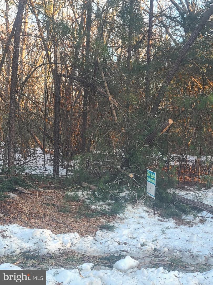 SHILOH CHURCH ROAD Property Photo 1