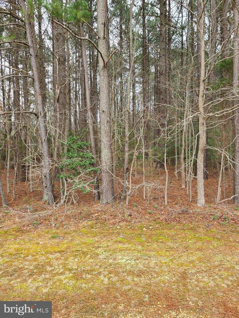 Marie Road Property Photo 1