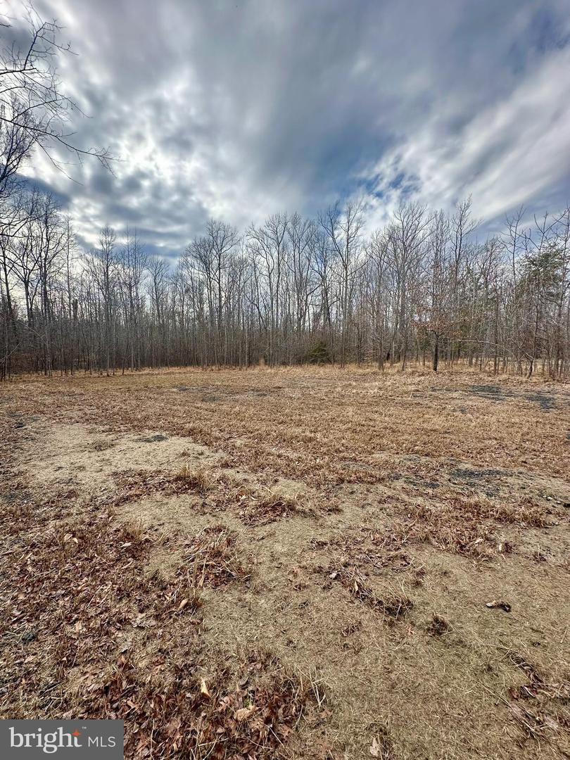 9680 Adams Willett Rd Property Photo 2