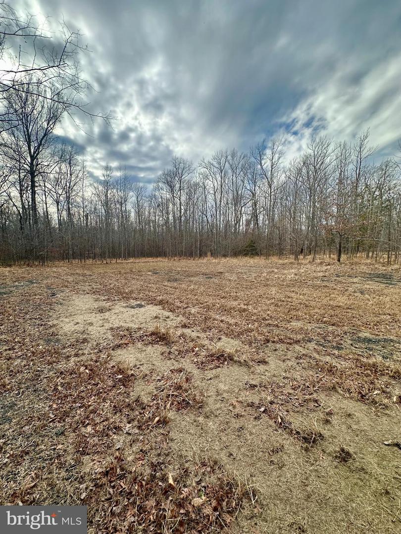 9680 Adams Willett Rd Property Photo 3