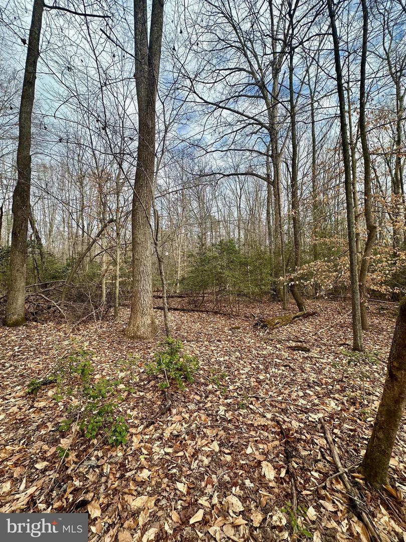 9680 Adams Willett Rd Property Photo 6