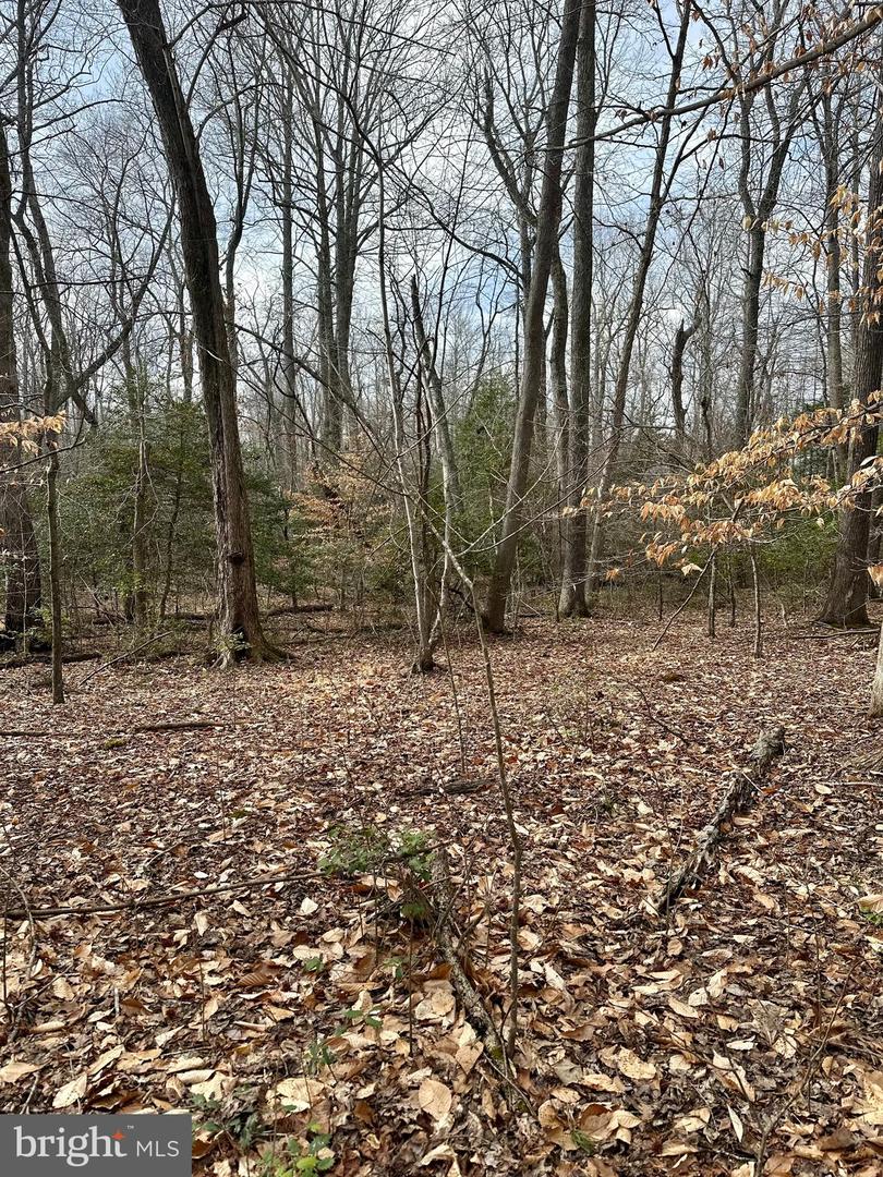 9680 Adams Willett Rd Property Photo 7