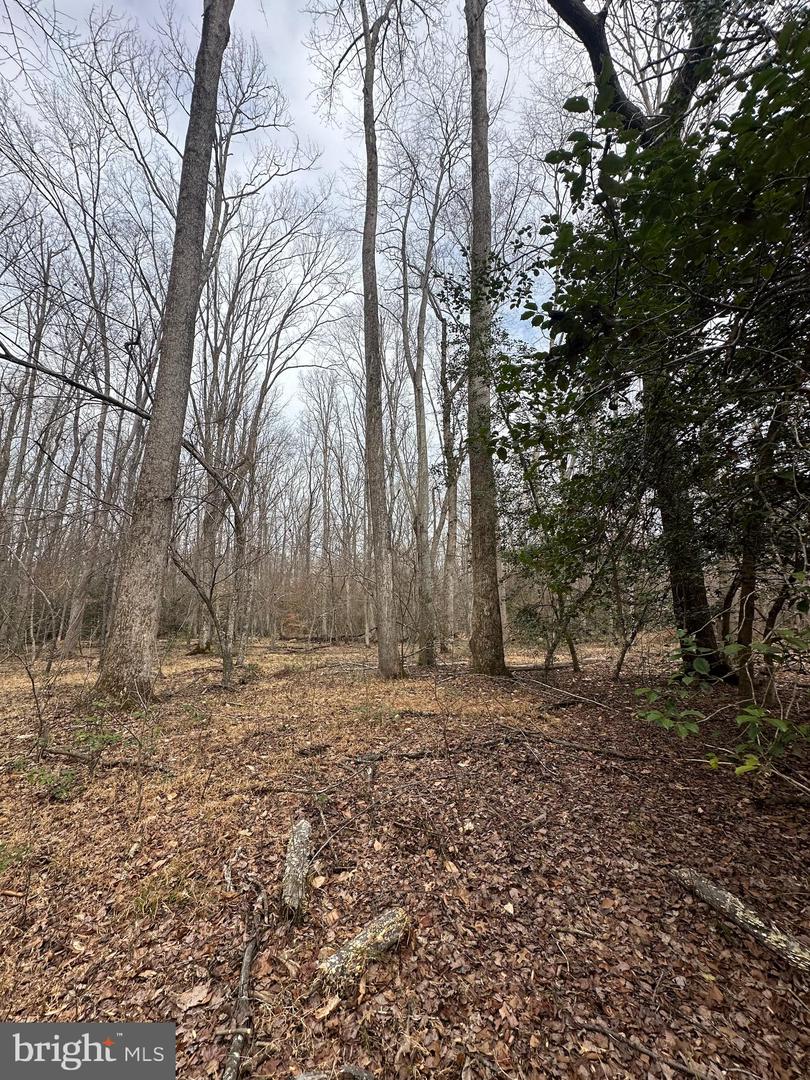 9680 Adams Willett Rd Property Photo 8