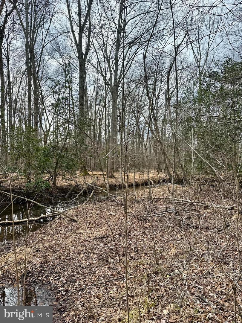 9680 Adams Willett Rd Property Photo 11