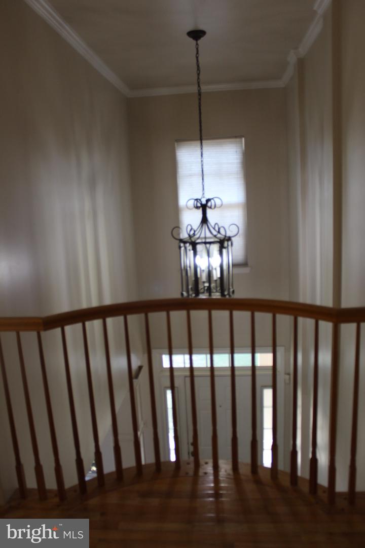 10111 Astill Ct Property Photo 18