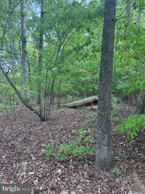 4580 Spencer Place Property Photo 14