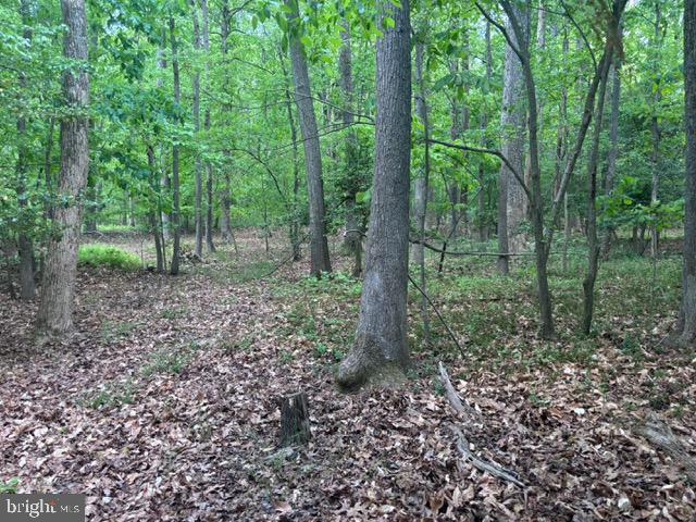 4580 Spencer Place Property Photo 15
