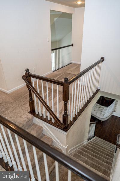 11287 Saint Christopher Dr Property Photo 30